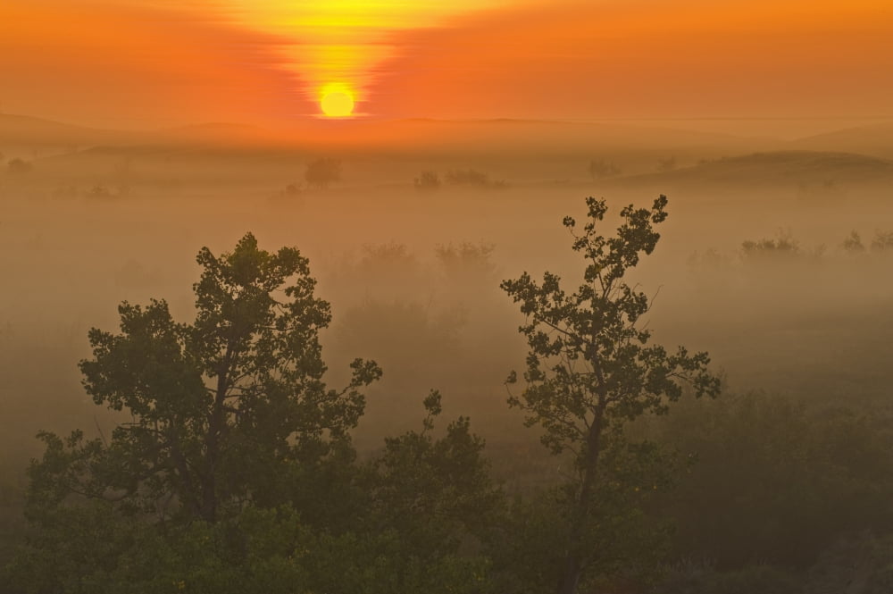 Sunrise Over The Great Sandhills Near Sceptre Saskatchewan Canvas Art - Dave Reede Design Pics (17 x 11)