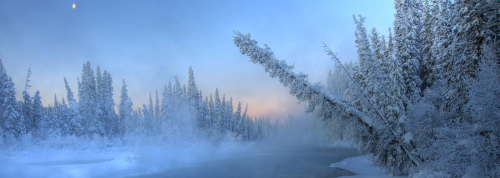 Sunrise Over The Morley River In Winter Yukon Canvas Art - Robert Postma Design Pics (23 x 8)