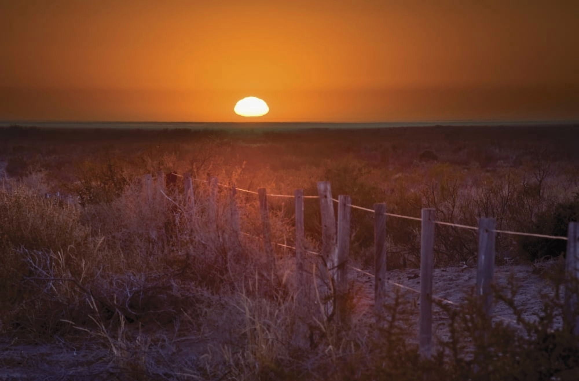 Sunrise Over The Pampa Of Argentina San Rafael Mendoza Argentina Canvas Art - Philippe Widling Design Pics (19 x 12)