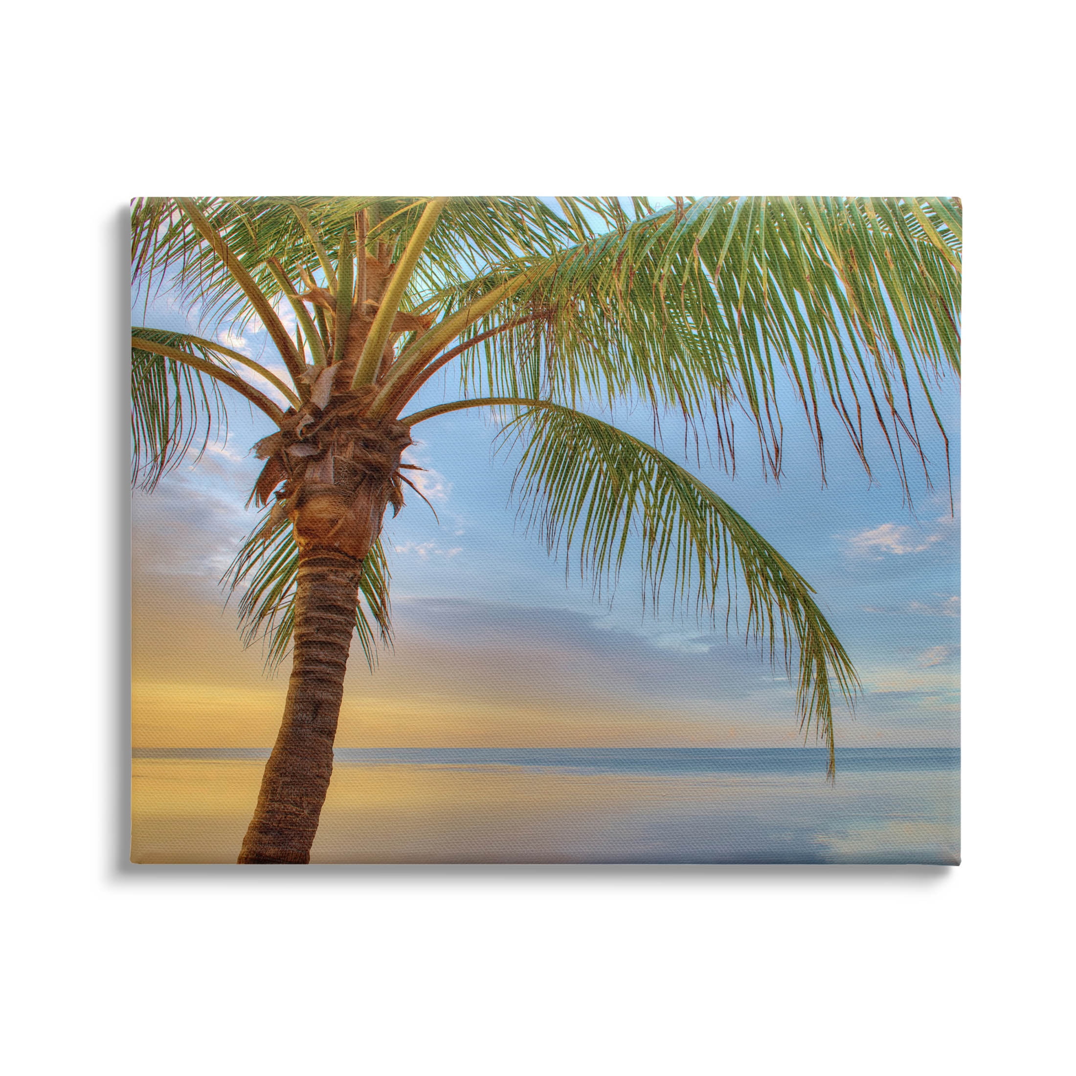 Sunrise Palm Tree Sky Reflection Coastal Photograph Gallery Wrapped Canvas Print Wall Art