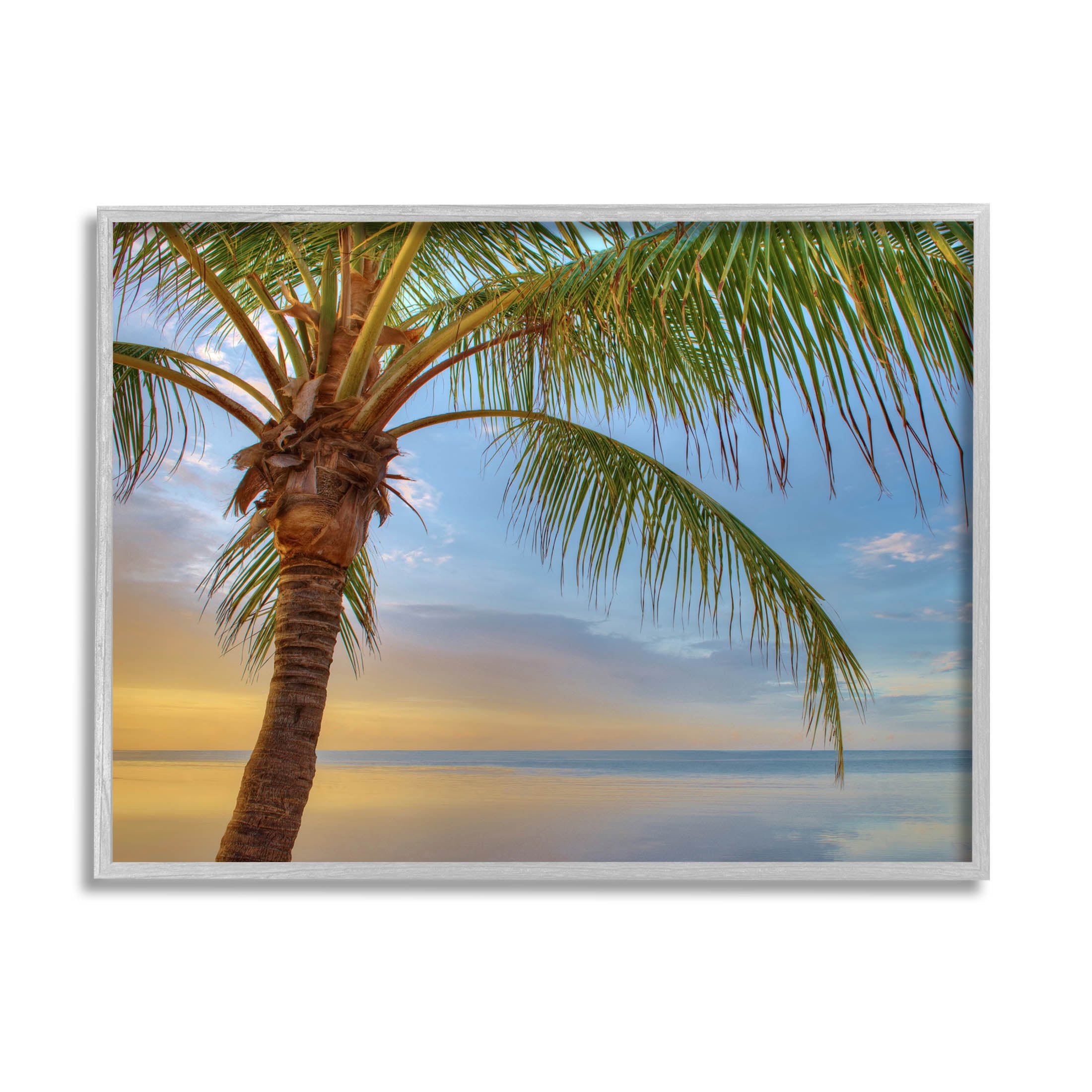 Sunrise Palm Tree Sky Reflection Coastal Photograph Gray Framed Art Print Wall Art