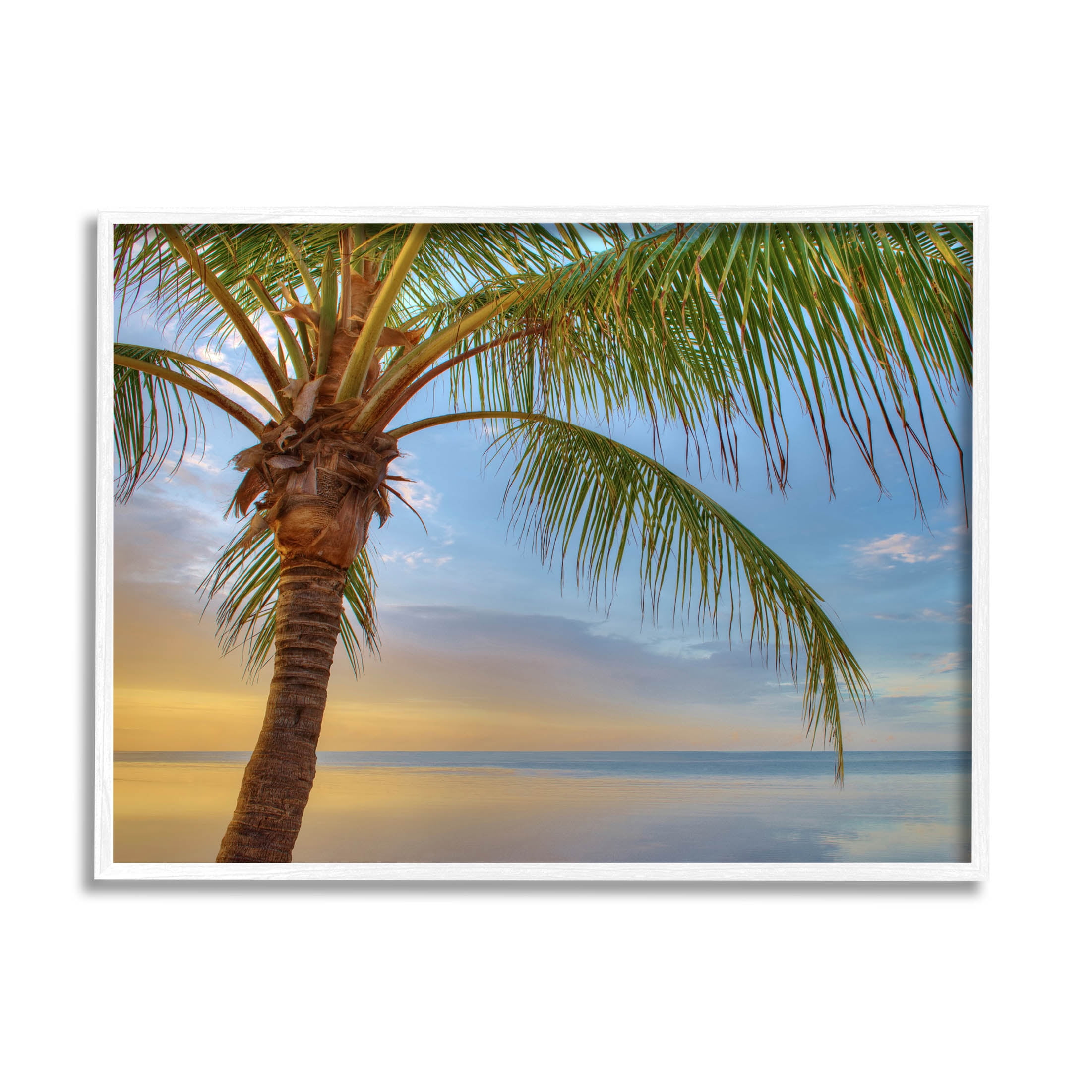 Sunrise Palm Tree Sky Reflection Coastal Photograph White Framed Art Print Wall Art