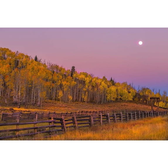 Sunrise Rideway #2 by Sally Linden (24 x 18)