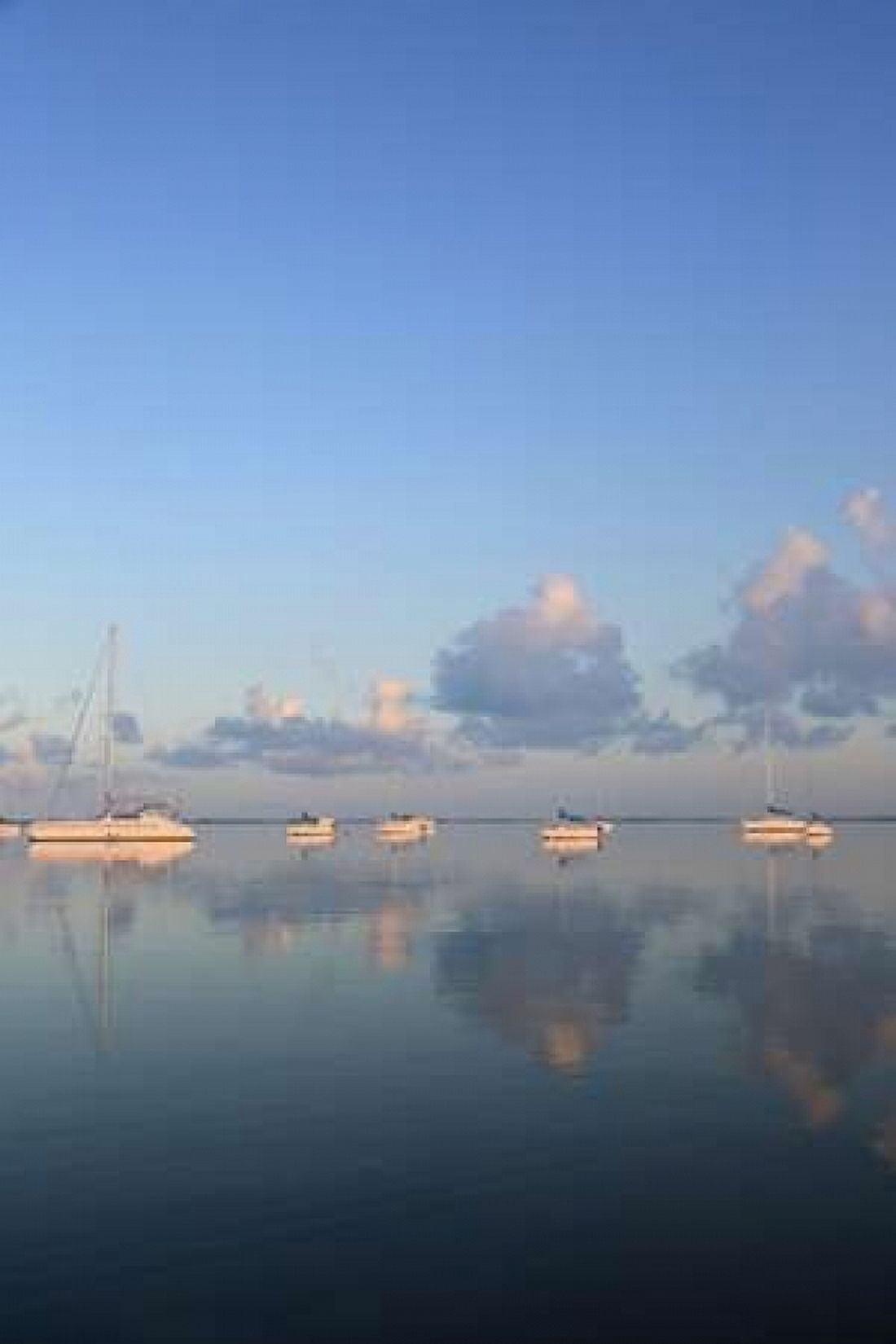 Sunrise Sails Canvas Art - Brent Anderson (24 x 36)