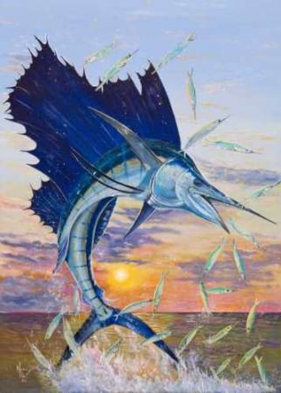 Sunrise Sale Canvas Art - Mark Ray (20 x 28)