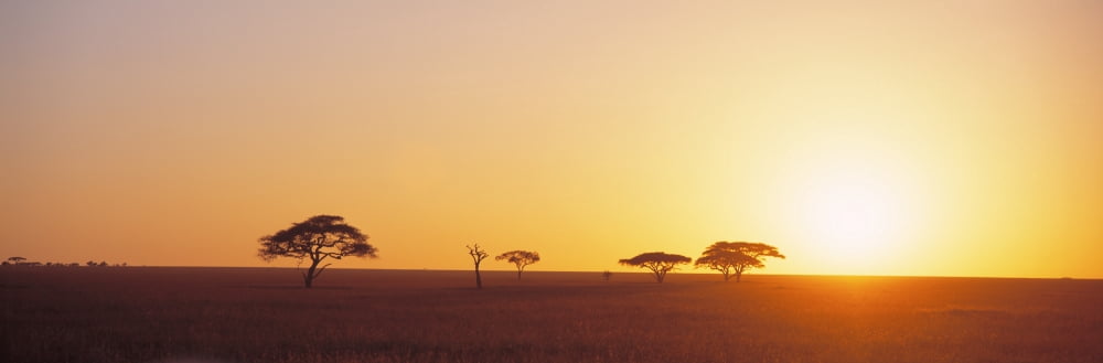 Sunrise Serengeti Tanzania Africa Canvas Art - Panoramic Images (27 x 9)