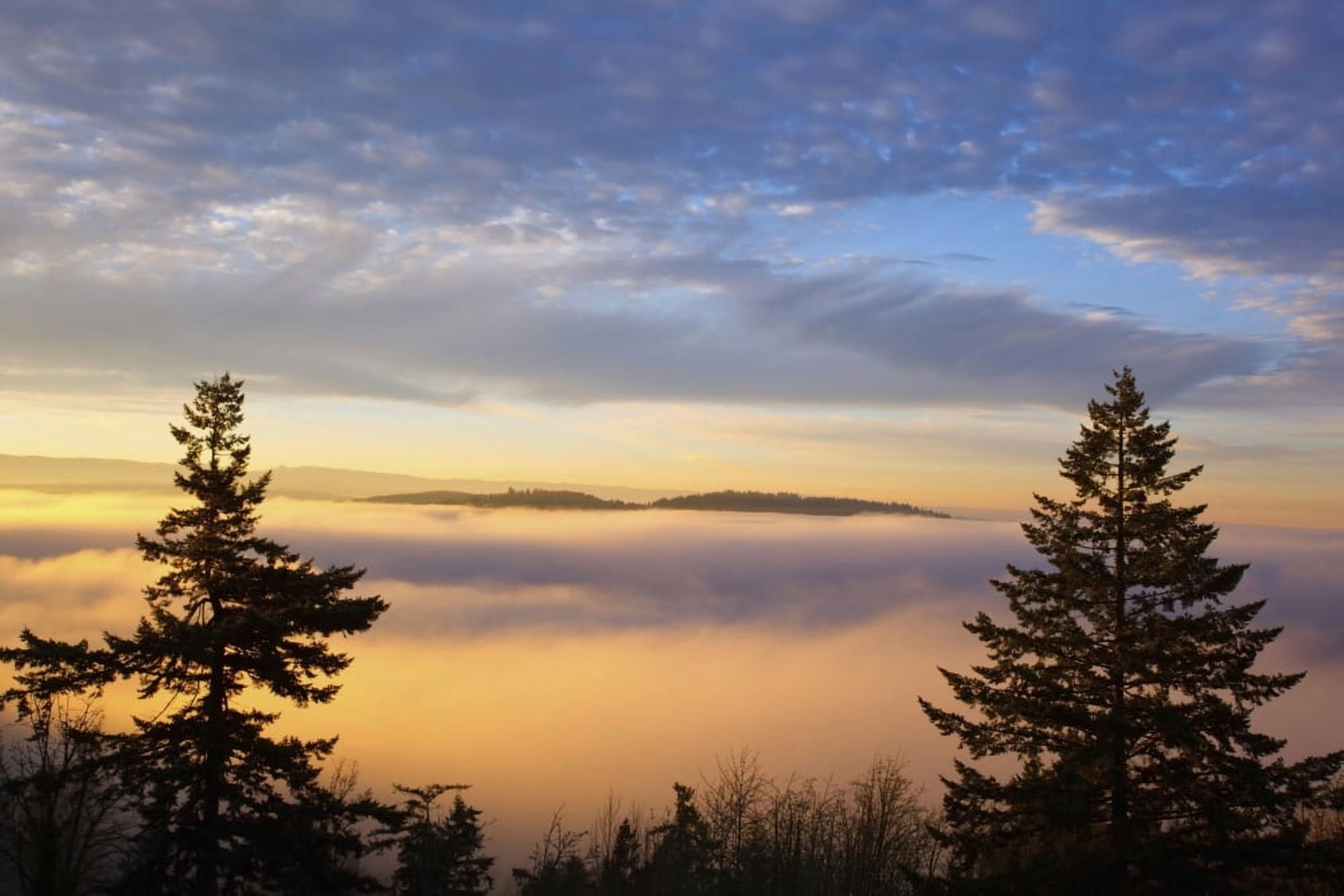 Sunrise Through Morning Fog Willamette Valley Oregon United States Of America Canvas Art - Craig Tuttle Design Pics (38 x 24)