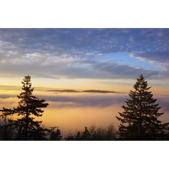 Sunrise Through Morning Fog; Willamette Valley Oregon United States Of America Poster Print