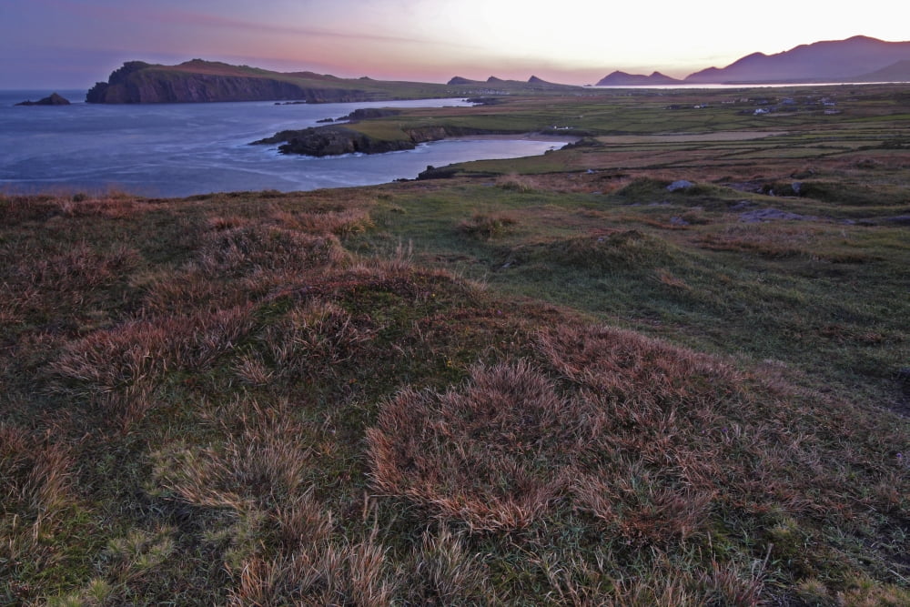 Sunrise View Of Clogher Beach And The Three Sisters Peaks In The Brandon Mountain Range On The Dingle Peninsula County Kerry Ireland Canvas Art - Trish Punch Design Pics (38 x 24)