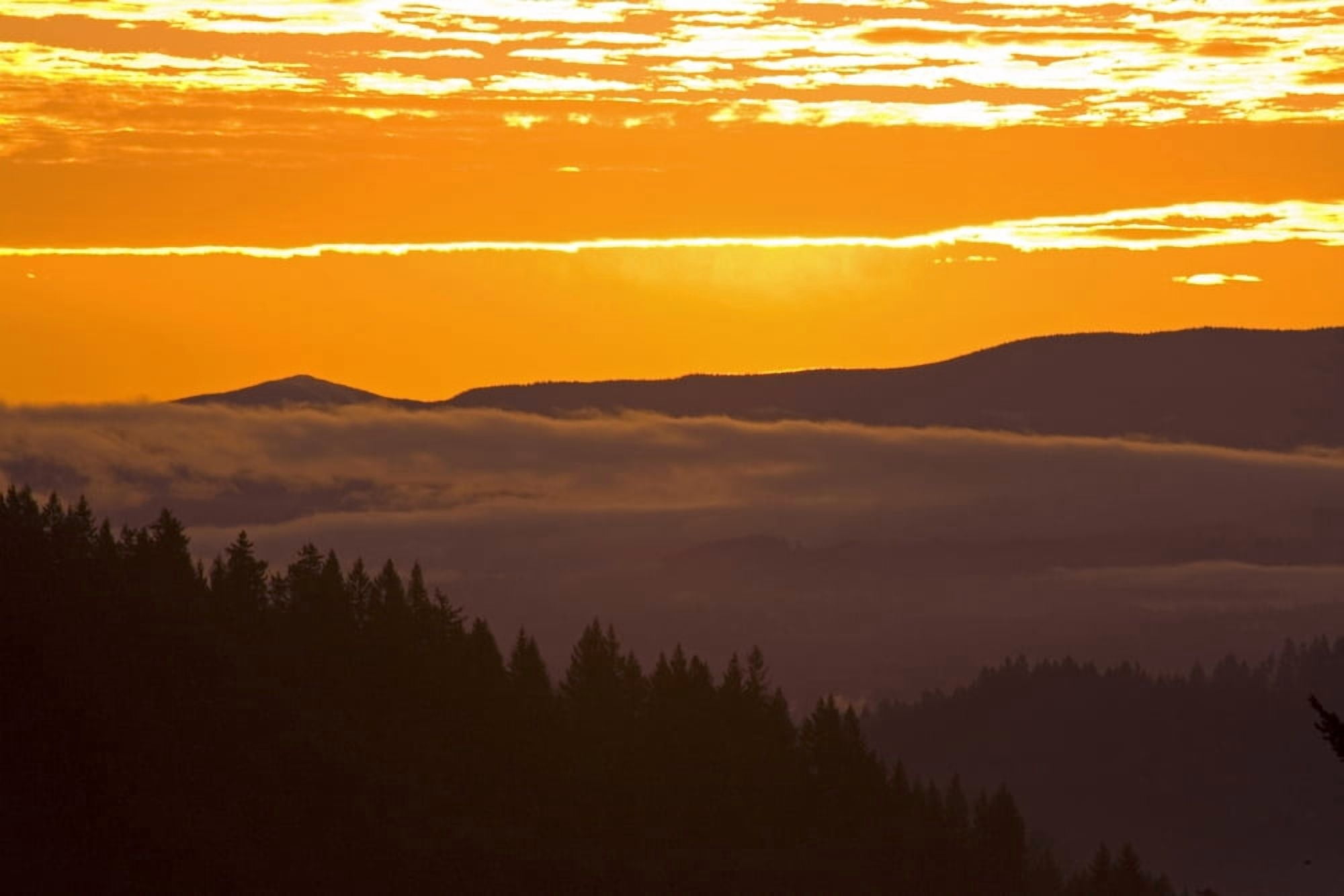 Sunrise Willamette Valley Oregon United States Of America Canvas Art - Craig Tuttle Design Pics (17 x 11)