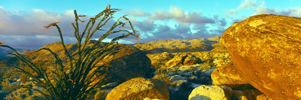 Sunrise alpenglow near Bow Willow Campground Anza Borrego Desert State Park California USA Canvas Art - Panoramic Images (6 x 18)