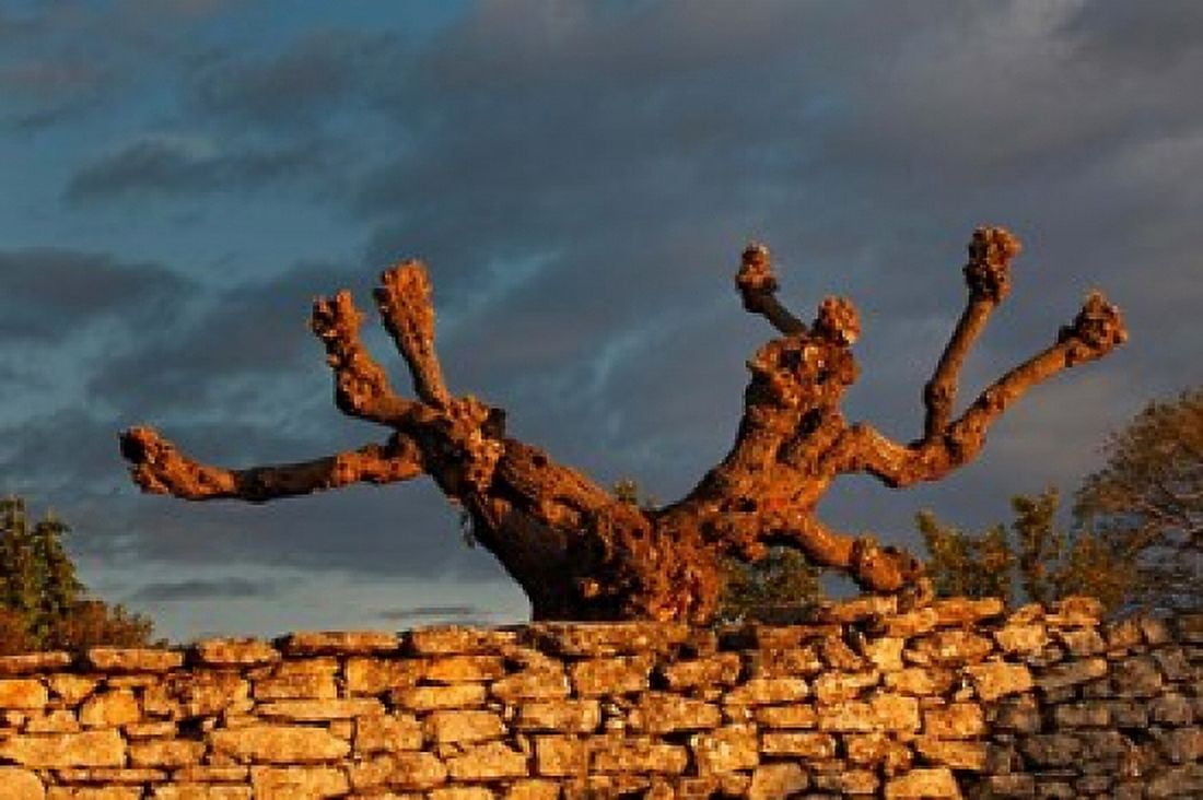 Sunrise in Gordes France Canvas Art - Adam Jones DanitaDelimont (26 x 18)