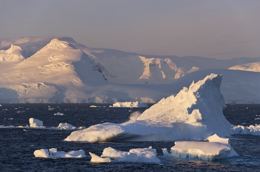 Sunrise in the Bransfield Strait with icebergs in the foreground Antarctic Peninsula Canvas Art - Daisy Gilardini Design Pics (19 x 12)