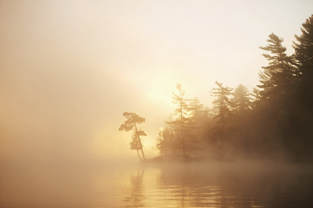 Sunrise on the Severn River at the mouth of Wood Bay Ontario Canada Canvas Art - Ian Crysler Design Pics (19 x 12)