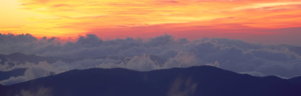 Sunrise over Clingmans Dome Great Smoky Mountain National Park Tennessee Canvas Art - Panoramic Images (36 x 12)