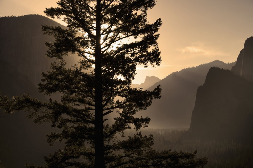 Sunrise over Half Dome at Tunnel View Yosemite National Park California United States of America Canvas Art - Gina Bringman Design Pics (38 x 24)