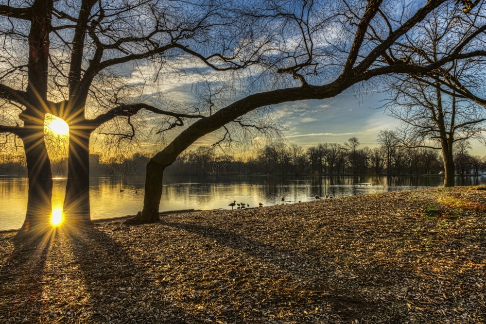 Sunrise over Prospect Park Lake Prospect Park Brooklyn New York United States of America Canvas Art - F M Kearney Design Pics (38 x 24)