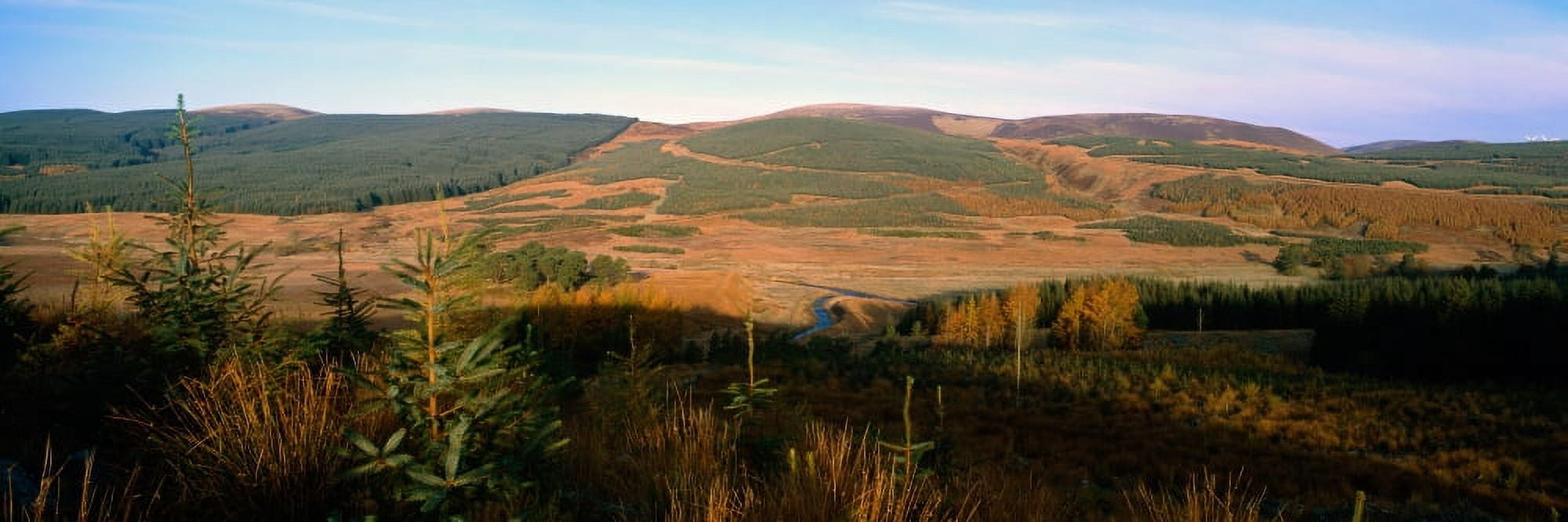 Sunrise over a forestry plantation in the Upper Tweeddale valley Scottish Borders Scotland Canvas Art - Panoramic Images (27 x 9)