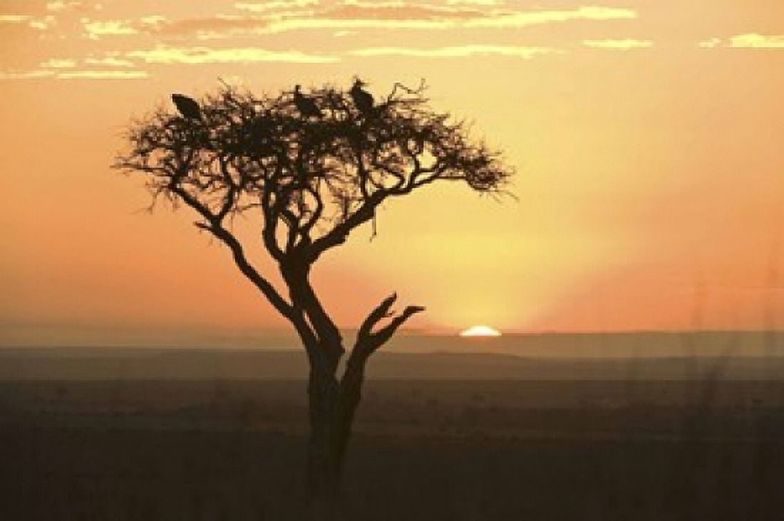 Sunrise over a landscape Kenya Canvas Art - Panoramic Images (16 x 11)