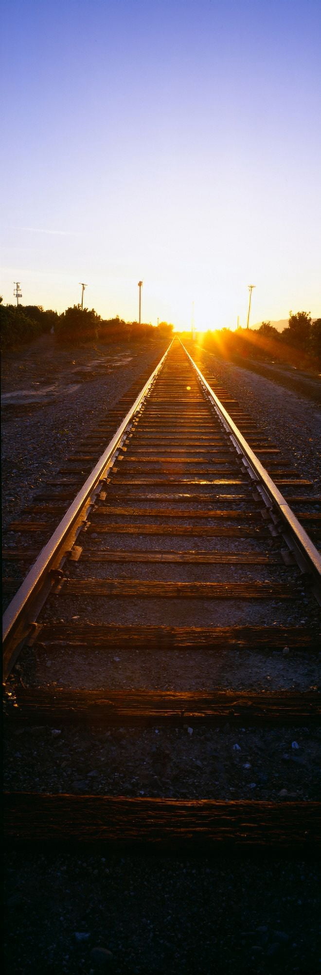 Sunrise over railroad tracks near Fillmore California Canvas Art - Panoramic Images (27 x 9)