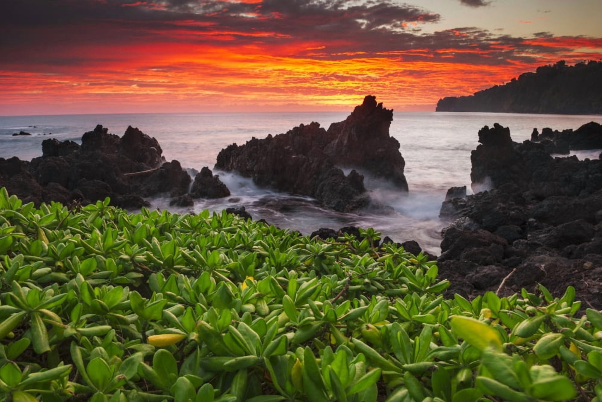 Sunrise over the ocean and coastline Laupahoehoe Island of Hawaii Hawaii United States of America Canvas Art - Carl Johnson Design Pics (38 x 24)
