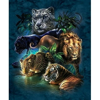 Big Cats Puzzle