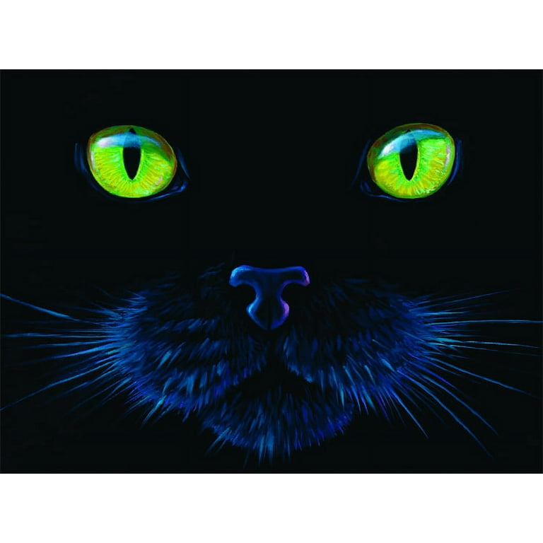 SunsOut Black Cat 1000 Piece Jigsaw Puzzle 63346 Walmart