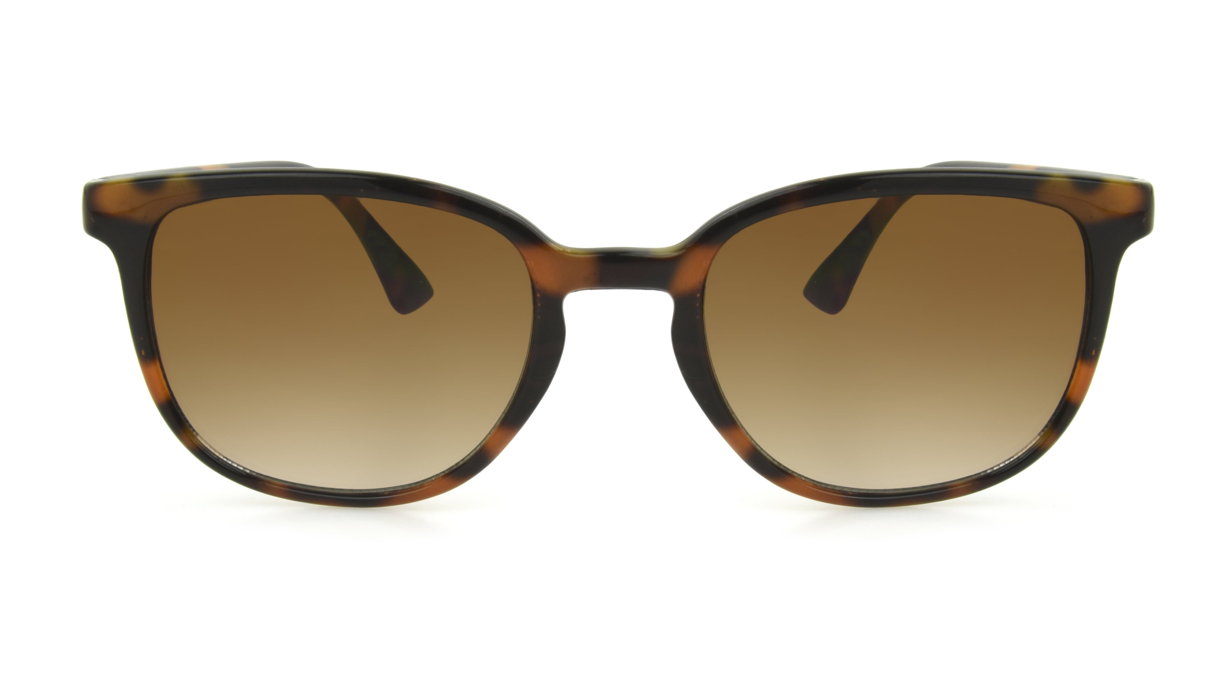 Sunsentials By Foster Grant Women's Square Sunglasses, Brown