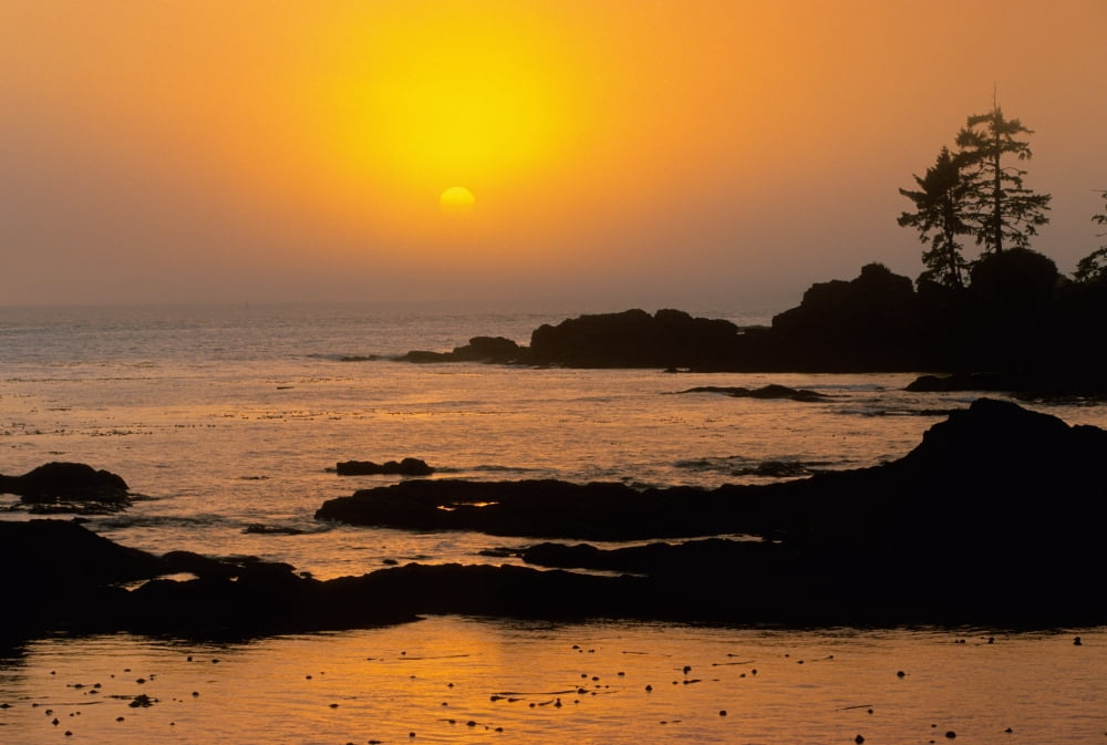 Sunset And Fog Botany Bay Vancouver Island Bc Canvas Art - John Sylvester Design Pics (17 x 11)