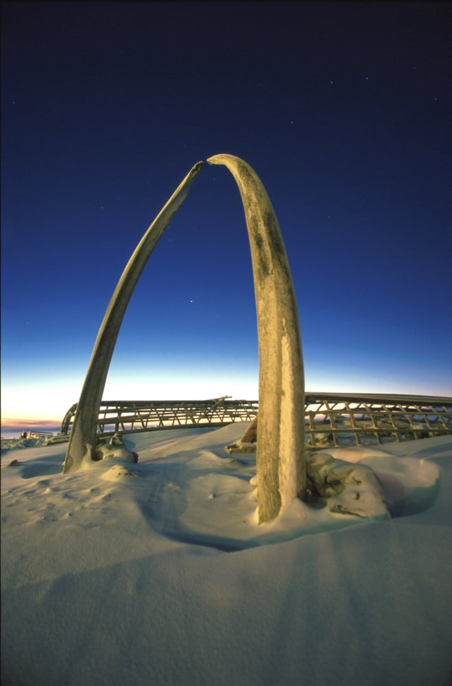Sunset Arctic Ocean Whale Bone Monument Barrow Alaska Umiak Boat Winter Canvas Art - Chris Arend Design Pics (22 x 34)