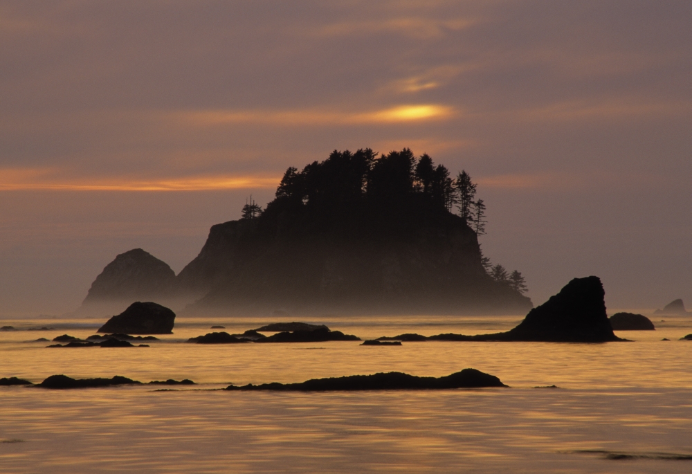 Sunset At Olympic National Park Cape Alava Washington State Canvas Art - Ron Watts Design Pics (17 x 11)