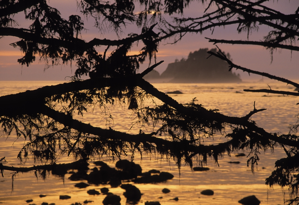 Sunset At Olympic National Park Cape Alava Washington State Canvas Art - Ron Watts Design Pics (17 x 11)