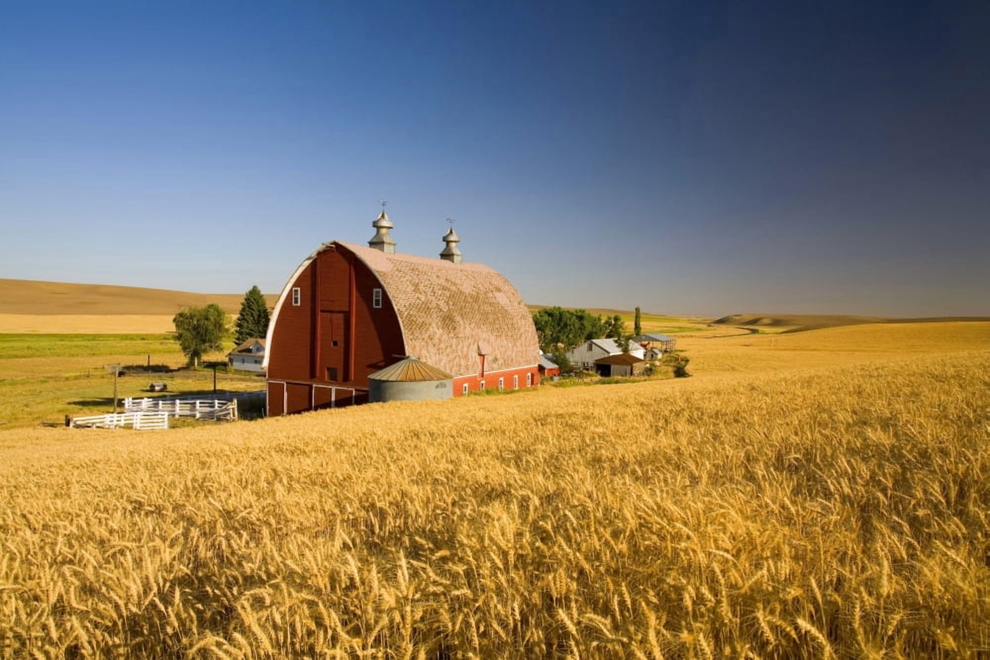 Sunset Barn And Wheat Field Steptoe Butt Washington Usa Canvas Art - Craig Tuttle Design Pics (40 x 26)