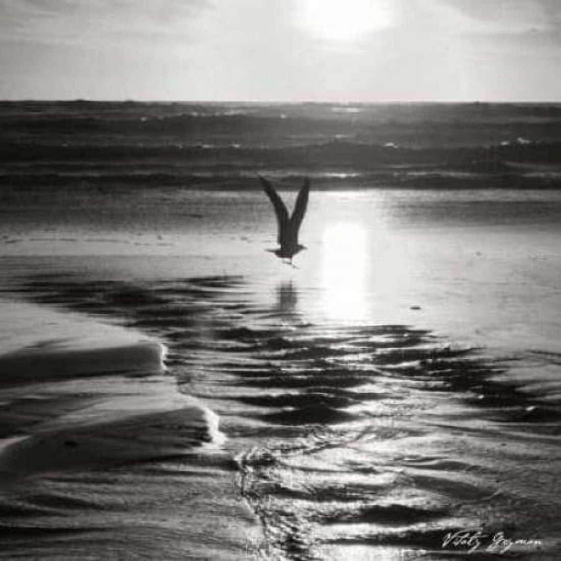 Sunset Bird Sq BW Canvas Art - Geyman Vitaly (24 x 24)
