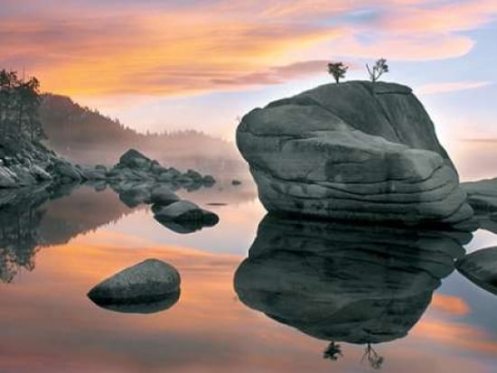 Sunset Bonsai Rock Canvas Art - Elizabeth Carmel (18 x 24)