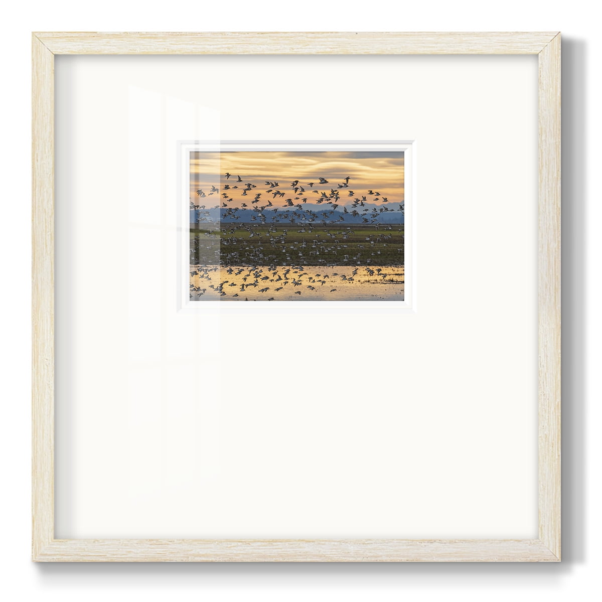 Sunset FlightPremium Framed Print
