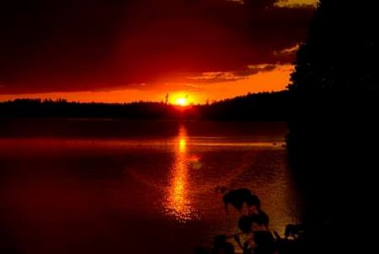 Sunset II Canvas Art - Beth Wold (24 x 36)