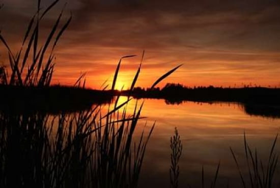 Sunset III Canvas Art - Beth Wold (12 x 18)