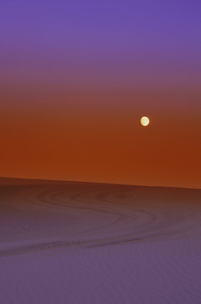 Sunset In A Desert Canvas Art - Carson Ganci Design Pics (22 x 34)