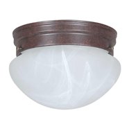 WOODS L1706BLK Vandal Incandescent Security Light Ceiling