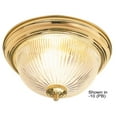 thumbnail image 1 of Sunset Lighting F7500 2 Light 120 Watt 12" Wide Flush Mount Ceiling Fixture, 1 of 5