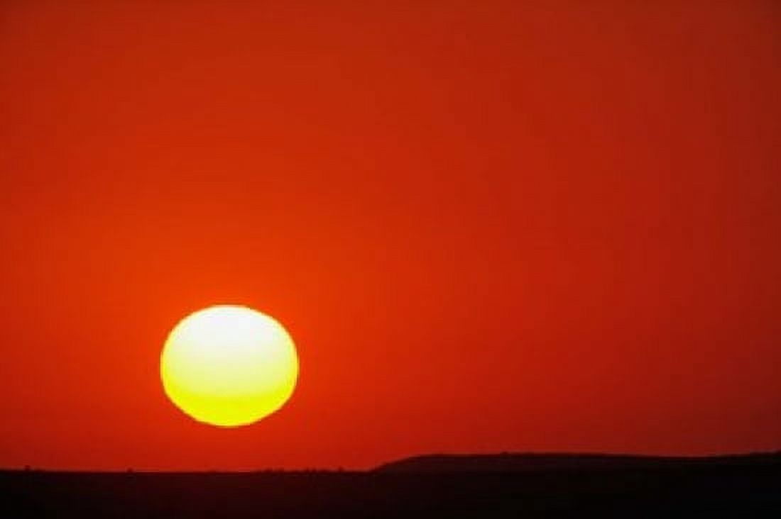 Sunset Masai Mara Game Reserve Kenya Canvas Art - Adam Jones DanitaDelimont (35 x 23)