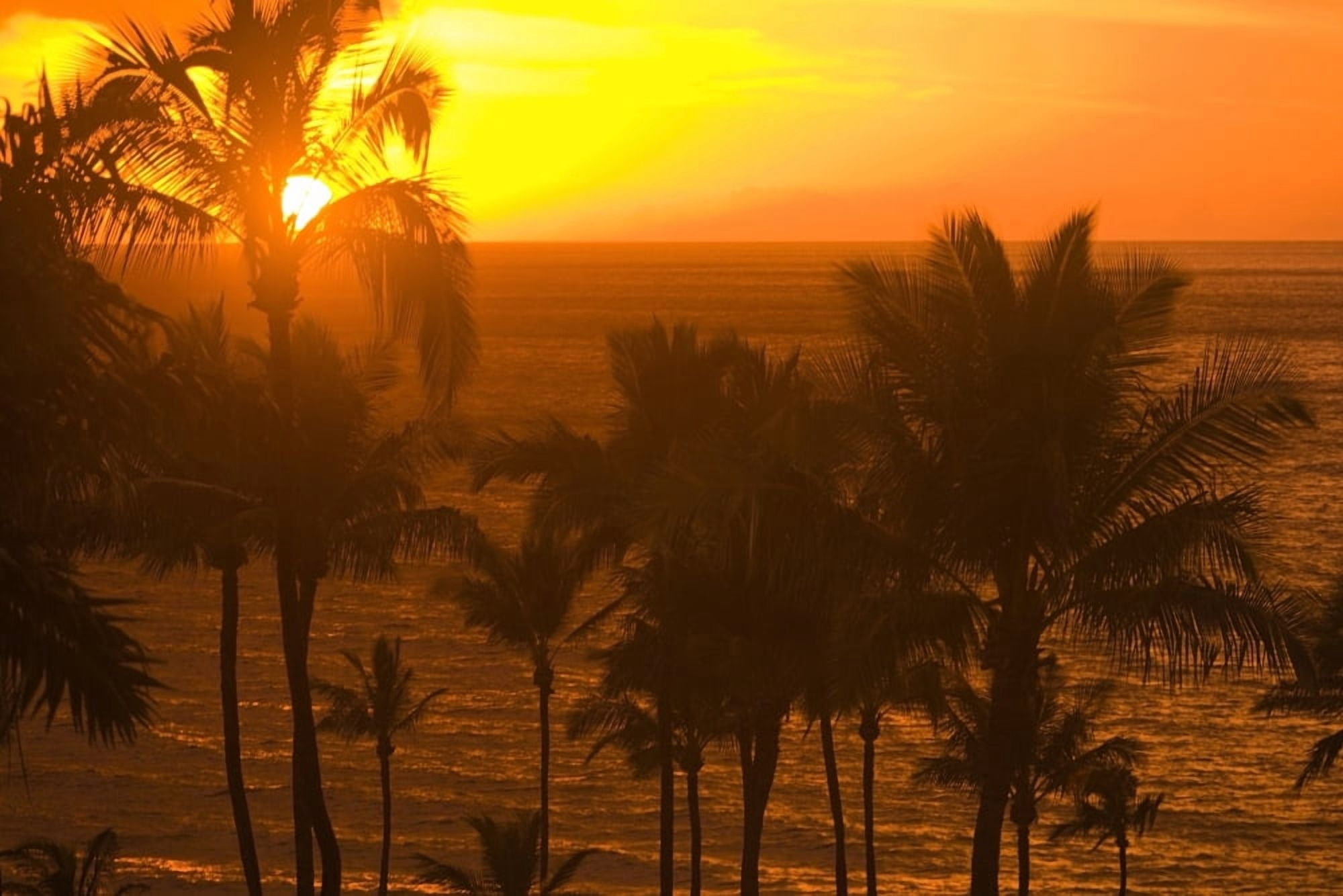 Sunset On Beach Wailea Hawaii Canvas Art - Stuart Westmorland Design Pics (36 x 24)