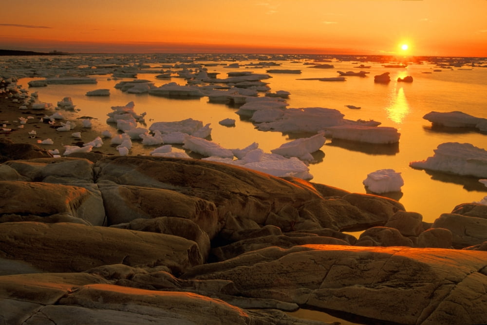 Sunset On Hudson Bay Churchill Manitoba Canvas Art - Mike Grandmaison Design Pics (34 x 22)