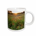 thumbnail image 1 of 3drose, Sunset on Texas Wildflowers, 15oz Mug, 1 of 6