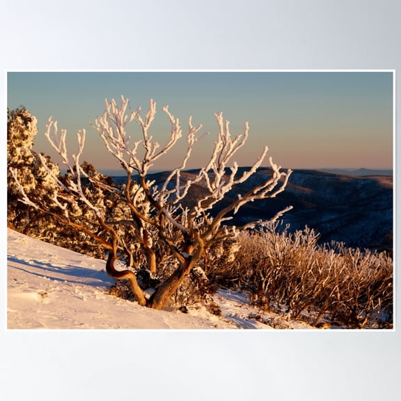 Sunset On The Mountainside Poster Wall Art, Modern Wall Decor, 12x18 UNFRAMED