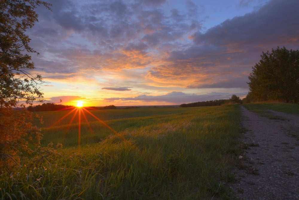 Sunset On The Rolling Hills Of The Prairies Of Alberta Canvas Art - Dan Jurak Design Pics (17 x 11)