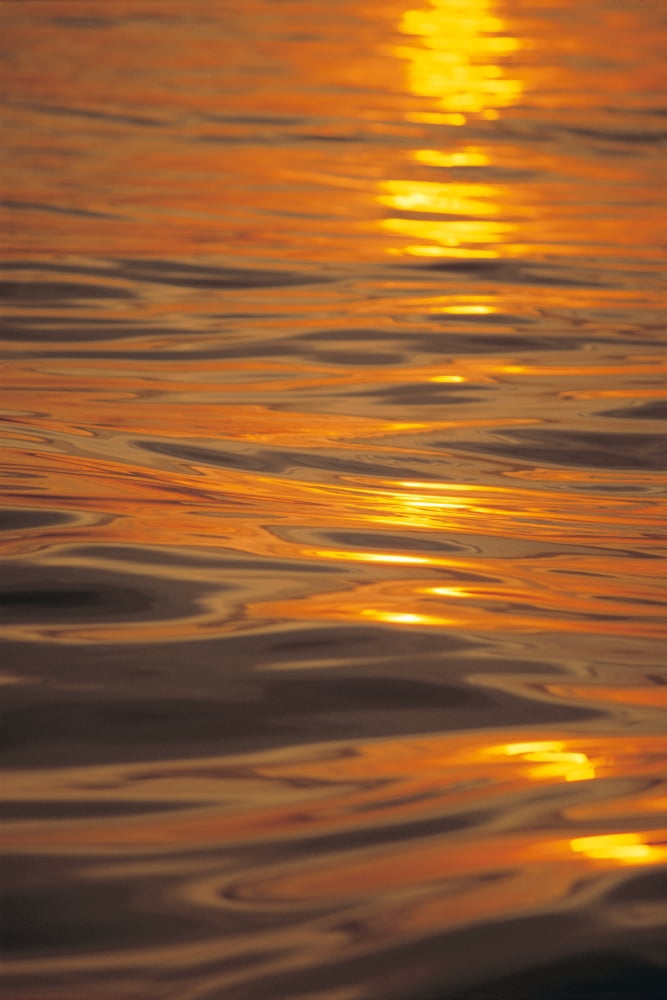 Sunset Orange And Gold Reflections On Smooth Ocean Surface Canvas Art - Erik Aeder Design Pics (24 x 38)