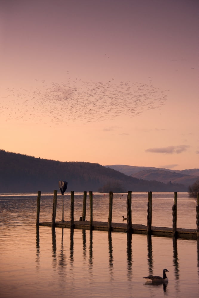 Sunset Over A Dock In The Lake England Canvas Art - John Short Design Pics (12 x 18)