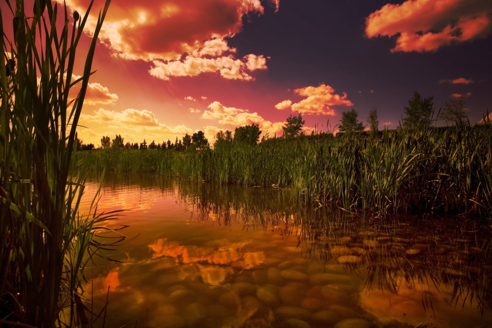 Sunset Over A Lake Canvas Art - Darren Greenwood Design Pics (18 x 12)